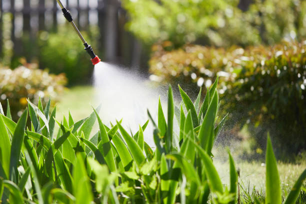24/7 Emergency Cockroach Control experts in Anderson Island, WA
