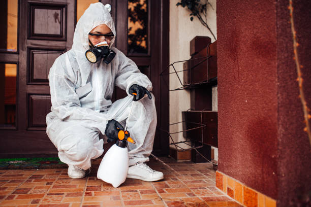Reliable Cockroach Control contractor in Anderson Island, WA by Nex Pest Control